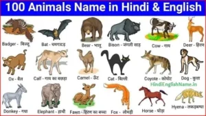 100 जानवरों के नाम हिंदी और इंग्लिश में (100 Animals Name in Hindi and English)