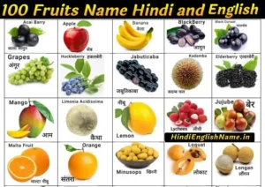 100 Fruits Name in Hindi and English | 100 फलों के नाम हिंदी और इंग्लिश में