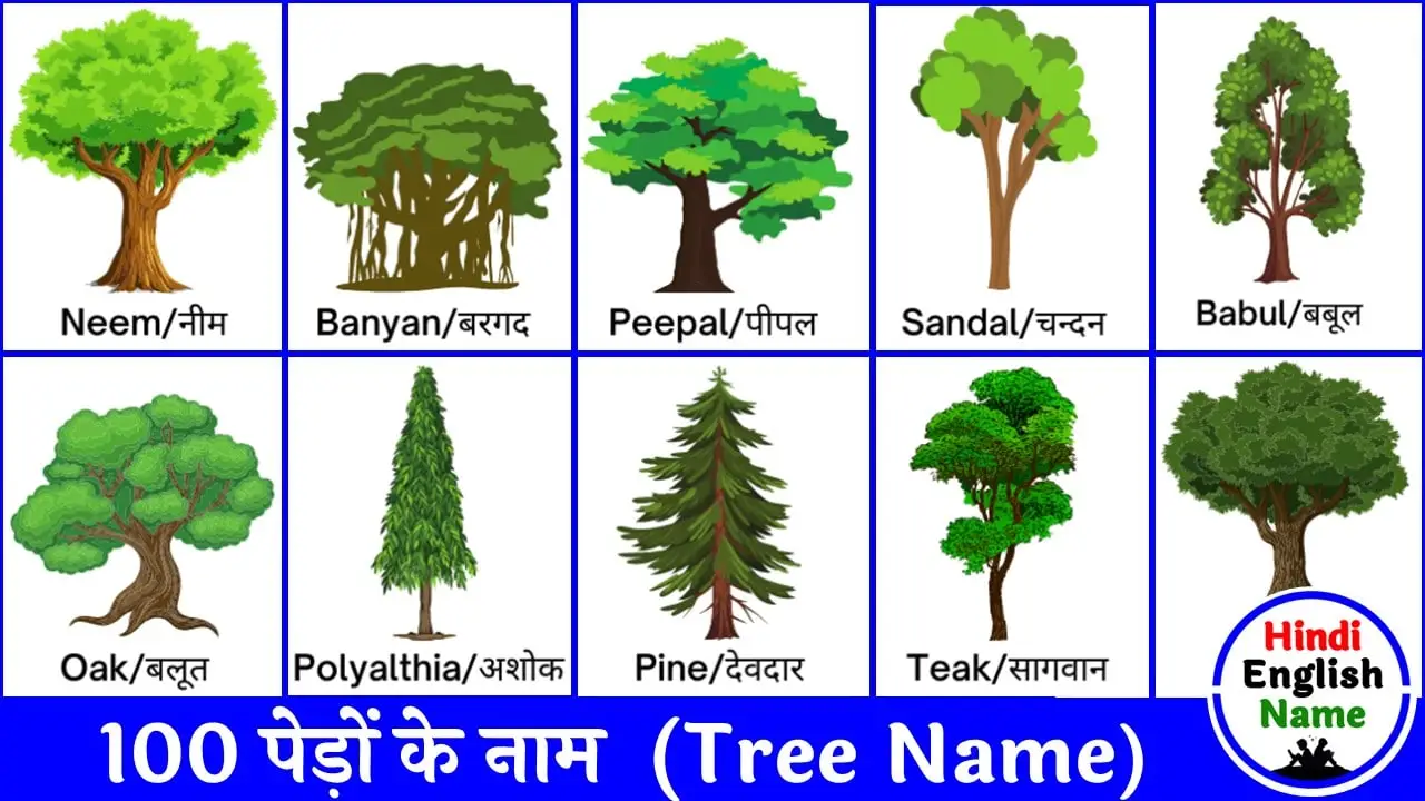 100 Pedon Ke Naam 100 Trees Name In English And Hindi 