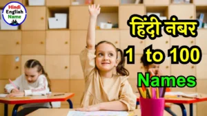 Hindi Numbers 1 to 100 | हिंदी गिनती और इंग्लिश गिनती 1 से 100