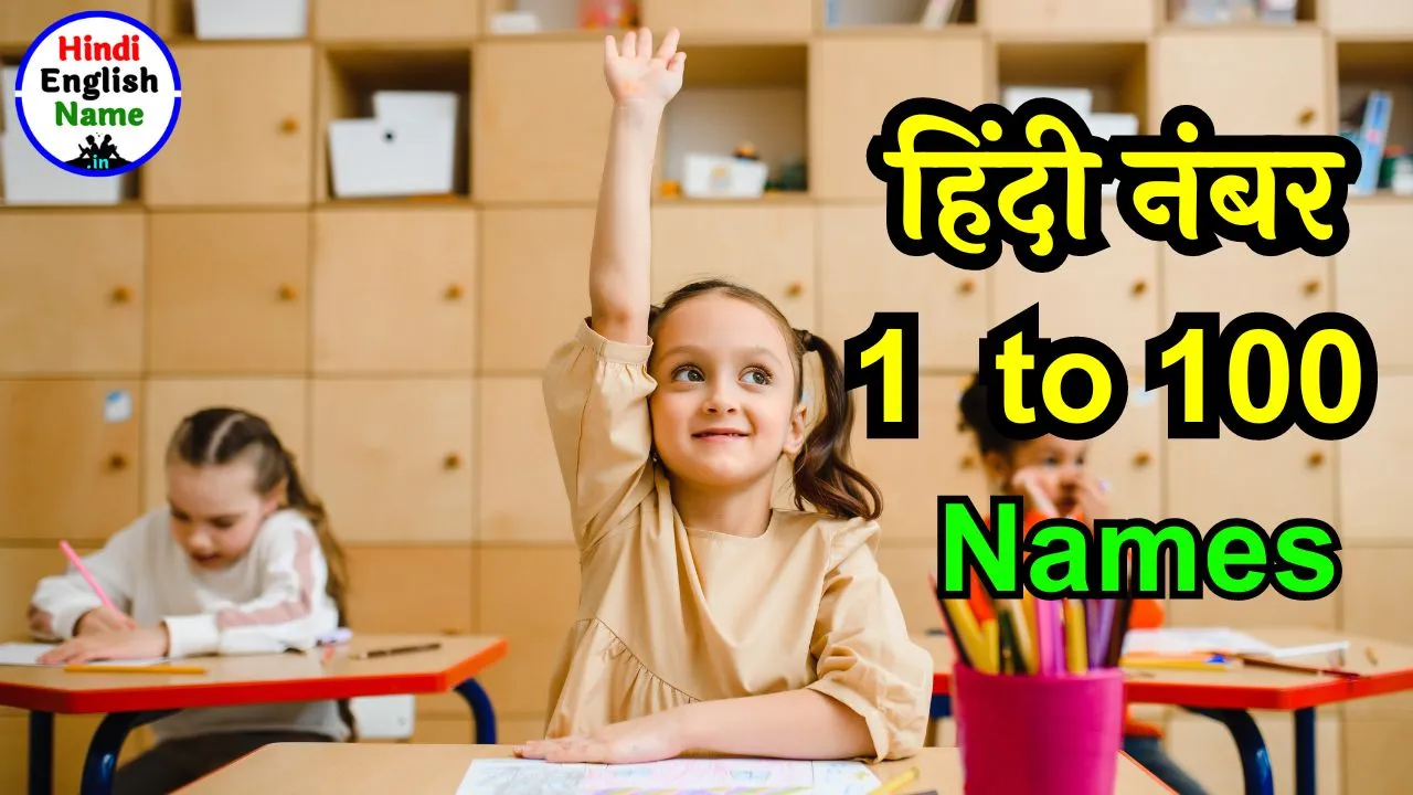 Hindi Numbers 1 to 100